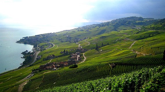 Https Frwikipediaorg Wiki Fichier View From The Lavaux